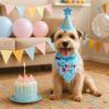 Adjustable Pet Birthday Caps Sequins Dog Birthday Bib Dog Birthday Hat Set  Puppy Costume