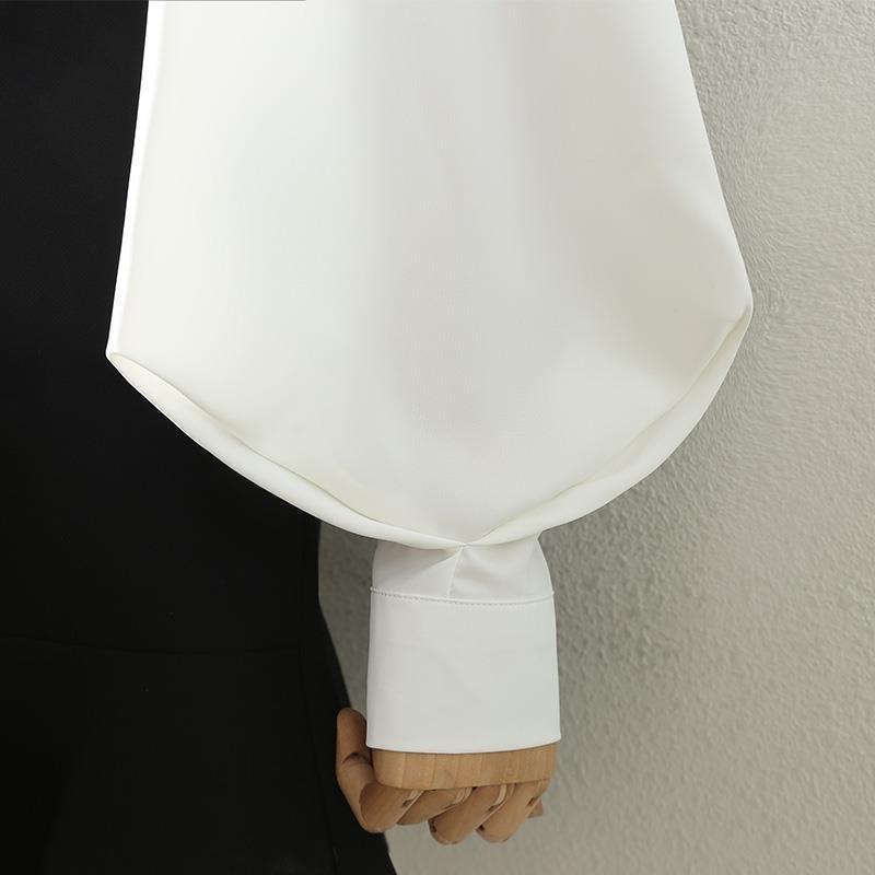 Blouses Women White Black Long Lantern Sleeve Office Lady Autumn Winter Basic Design Chic