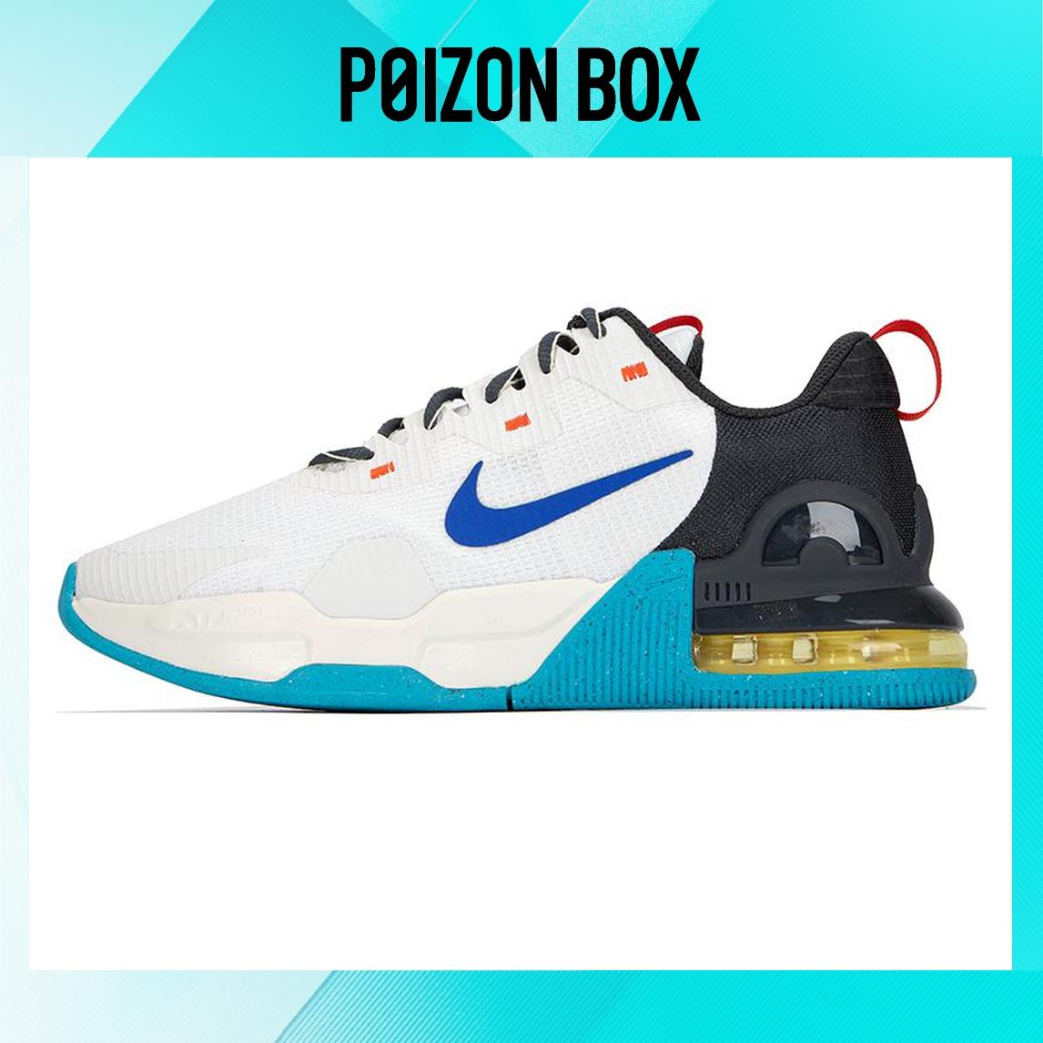 

кроссовки Male Nike Air Max Alpha Training shoes DM0829-100