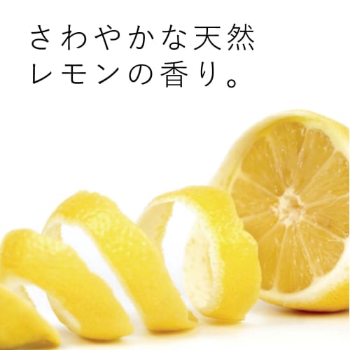 ecostore auto dishwash powder [lemon] 1kg powder detergent for automatic dishwashers