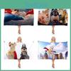 Dc League Of Super-pets Movie Printed Beach Towel For Children And Adults Soft And Absorbent