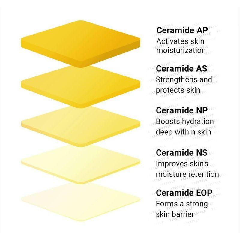 TORRIDEN SOLID IN Ceramide Lip Essence
