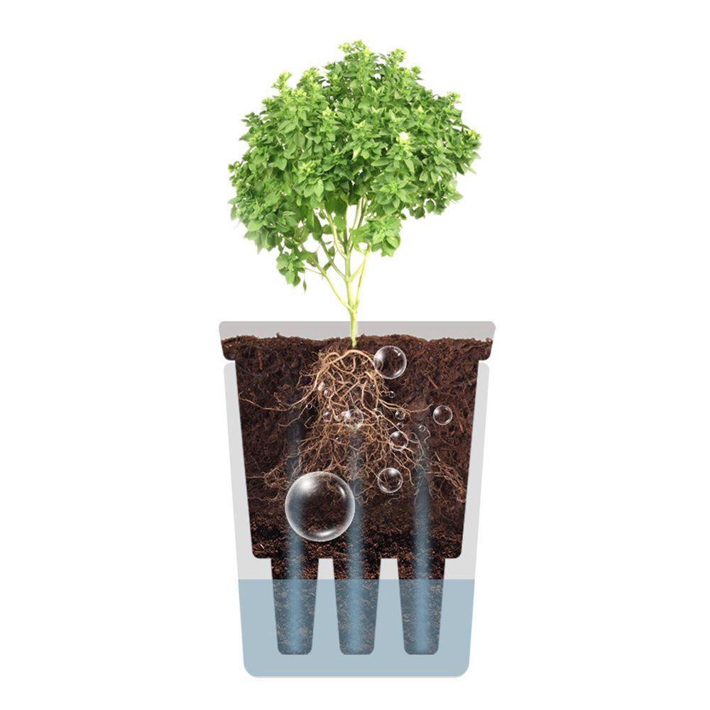 Office Decor Self-Absorbent Hydroponic Plant Pot Plant Container Self Watering Planter Flower Pot