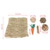 6Pcs Hamster Chew Toy Set Hand Woven Teeth Grinding Toxic Free Pet Grass Mat Ball Toys for Guinea Pig Rabbit Parrot