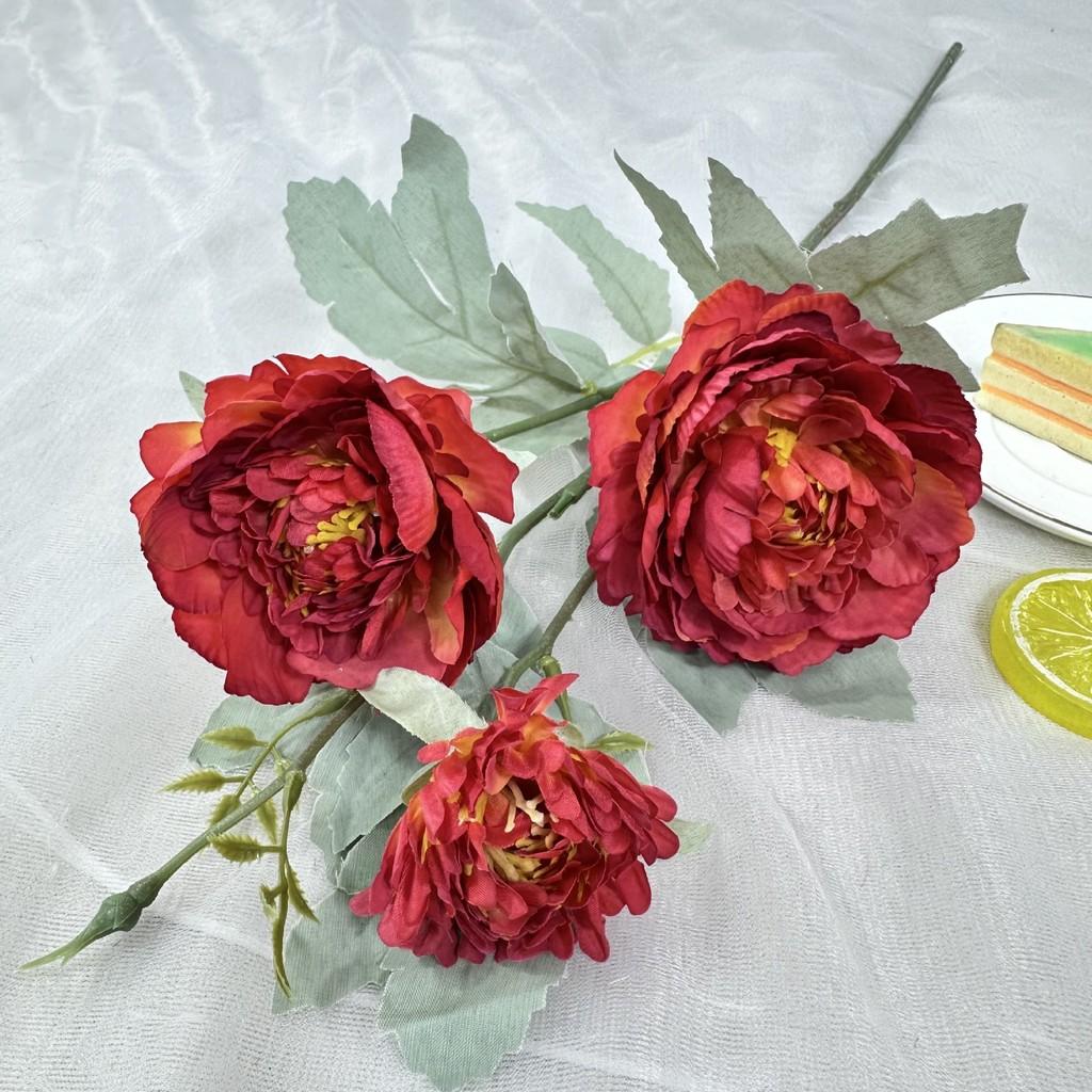 Silk Paeonia Suffruticosa Wedding Arch Flower Decoration For Event Photography And Home Decor