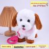Electronic Puppy Toy: Interactive Walking, Barking, and Singing Pet with Leash