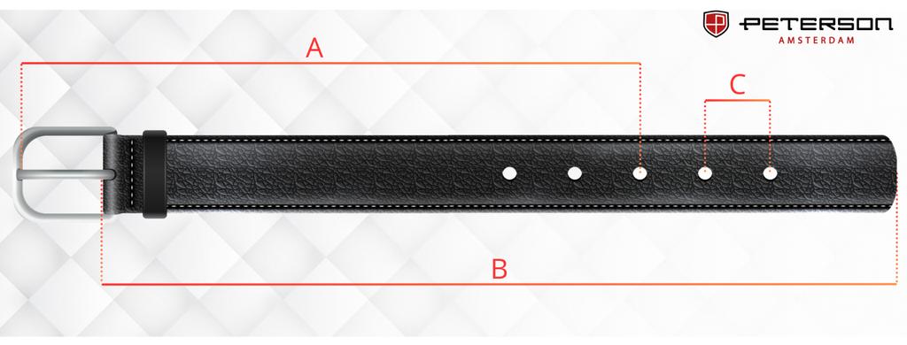 PTN LTP-TWT-95-9937 Brown Wide Leather Belt