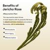 Abib Vegan Collagen Eye Patch Jericho Rose Jelly Firming Under Eye Patches 90ml 60pcs