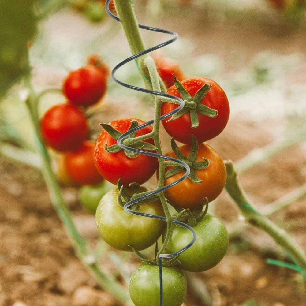 Supporto per Piante Rampicanti Pali a Spirale per Pomodori Telaio Gabbia per Piante Barra di Fissaggio Supporto Palo Metallico Strumento Resistente per Giardino Parti