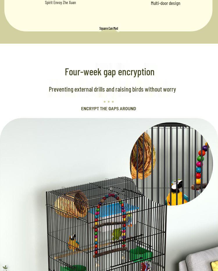 Large Parrot & Bird Cage for Budgies, Peonies, Wrens, Starlings & More