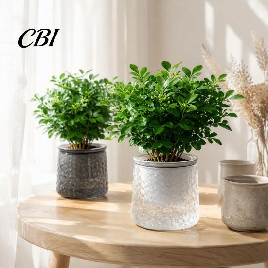 Indoor Green Plant Pots Self?Watering Planter Pot, Thick Transparent Flower Embossed Durable Holders Decorative for Hydroponic Houseplants