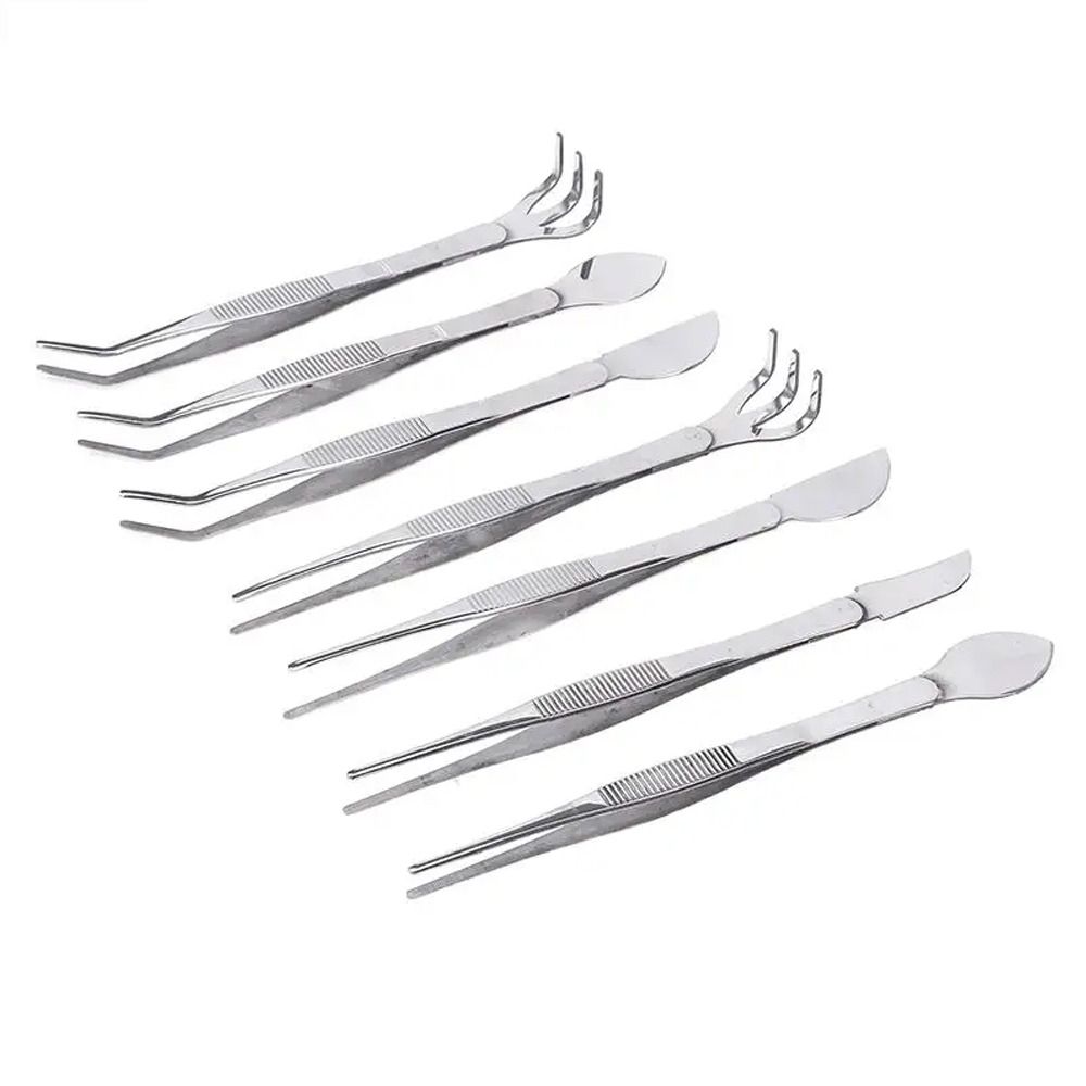 2-in-1 Bonsai Tweezers Mini Gardening Rake Soil Farming Tool Stainless Steel Root Rake Loosen Soil