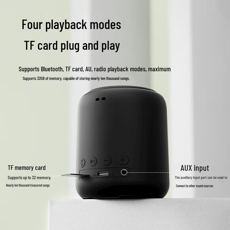 Sanag X6S Portable Bluetooth Speaker CN plug (adapter included)