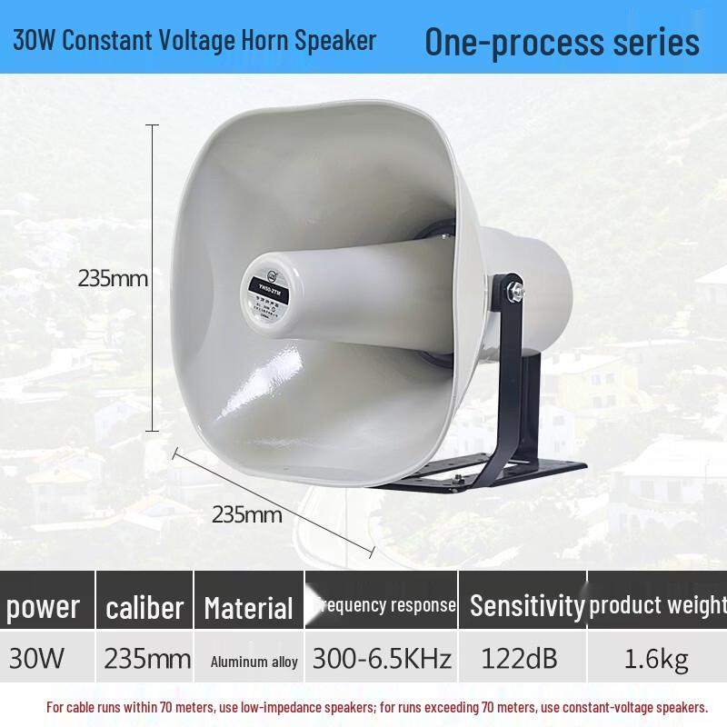 Haut-parleur à pavillon de diffusion extérieure Lingsheng HY30-2T 30W (Version CN)