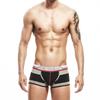Xibin Men's Youth Low-Rise Cotton Boxer Briefs - Sexy, Breathable, Fashionable Summer Underwear with U-Pouch Design.