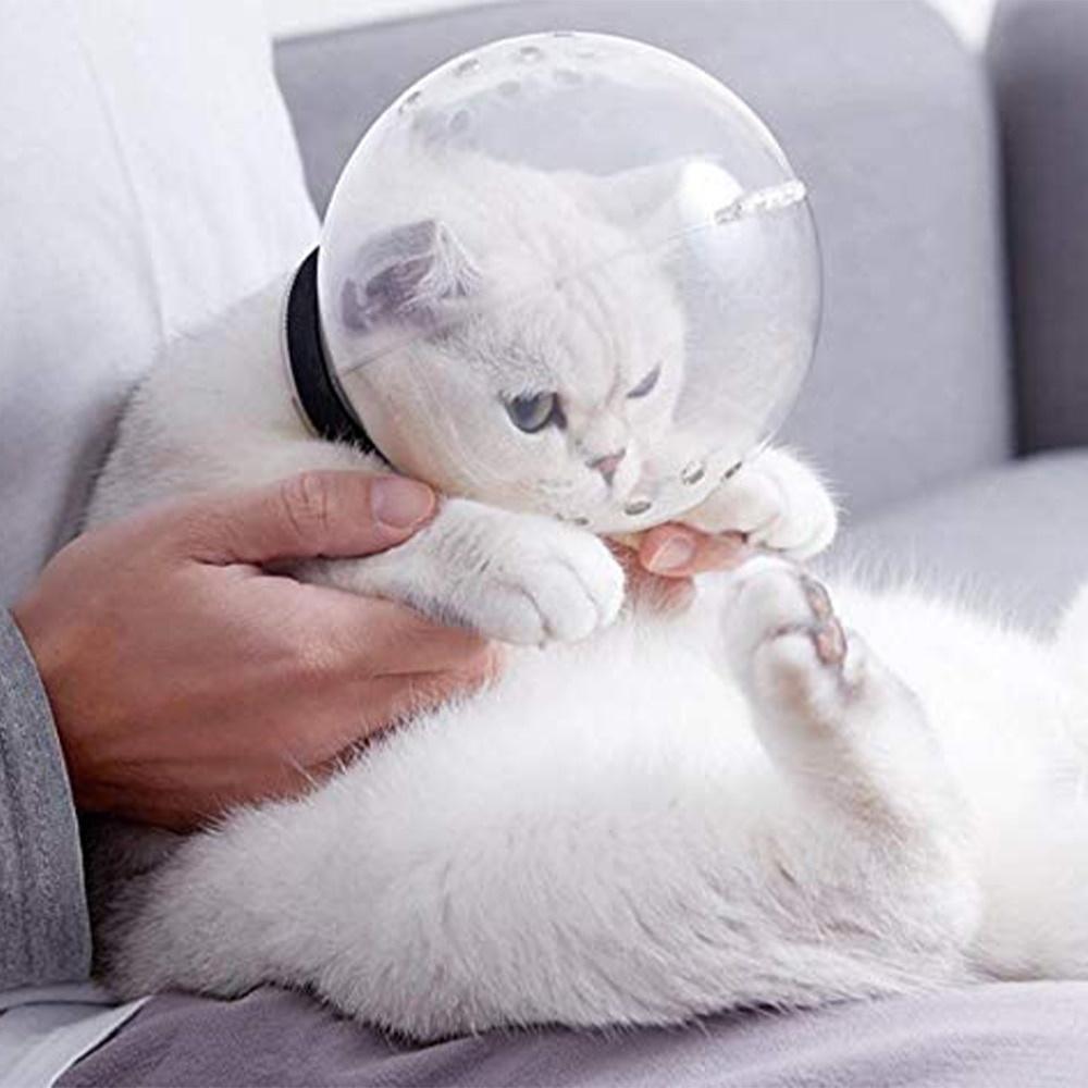 Atmungsaktive Katzenmaulkorb, Anti-Biss-Pflegemaske, Anti-Lecken, schützende Raumhaube, Maskenabdeckung, Maulkorb, Bad, Pflege, Katzenzubehör