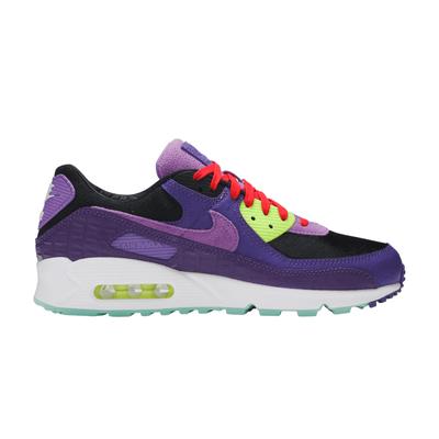 Air Max 90 Violett-Mischung
