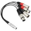 ATOMOS XLR Breakout Cable ATOMCAB016
