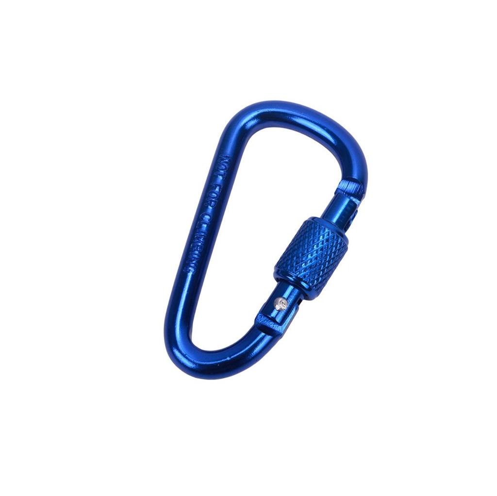 D-Shaped Locking Aluminum Carabiner No. 6 with Keyring for Backpack and Rope