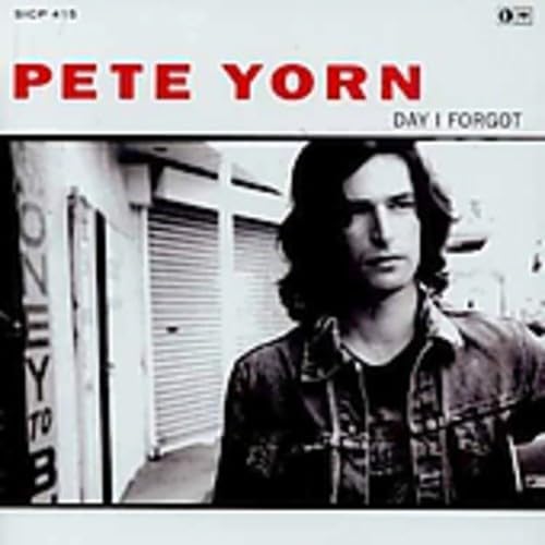

CD PETE YORN - Day I Forgot SICP415PROMO Sony Records In 2003 Japan ObiRock Used