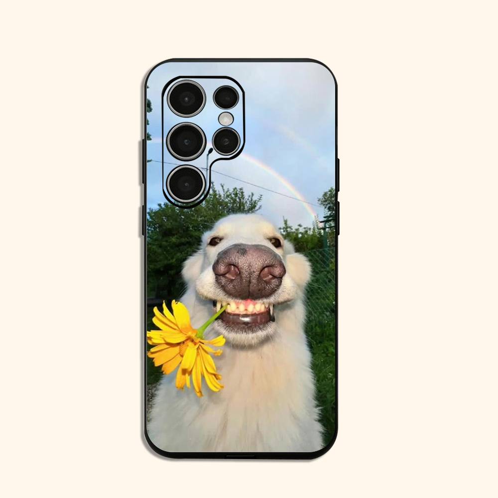 

cute dog Phone Case For Samsung Galaxy S24 S25 S23 S22 S21 Shockproof Cover Samsung S24fe