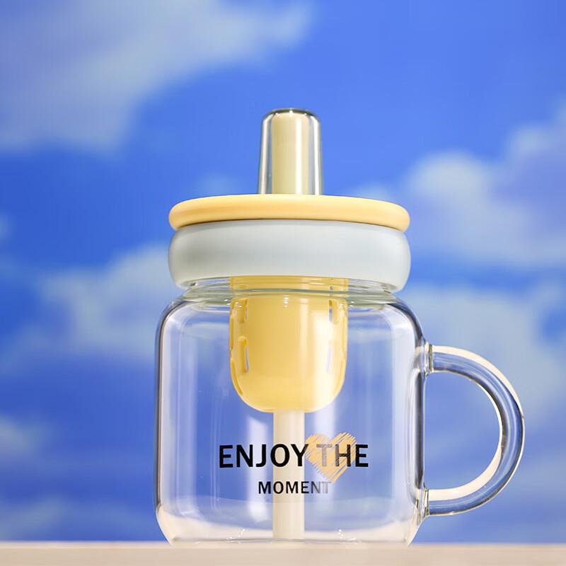 Aiqiyi DH Trend Glass Straw Cup 650ML