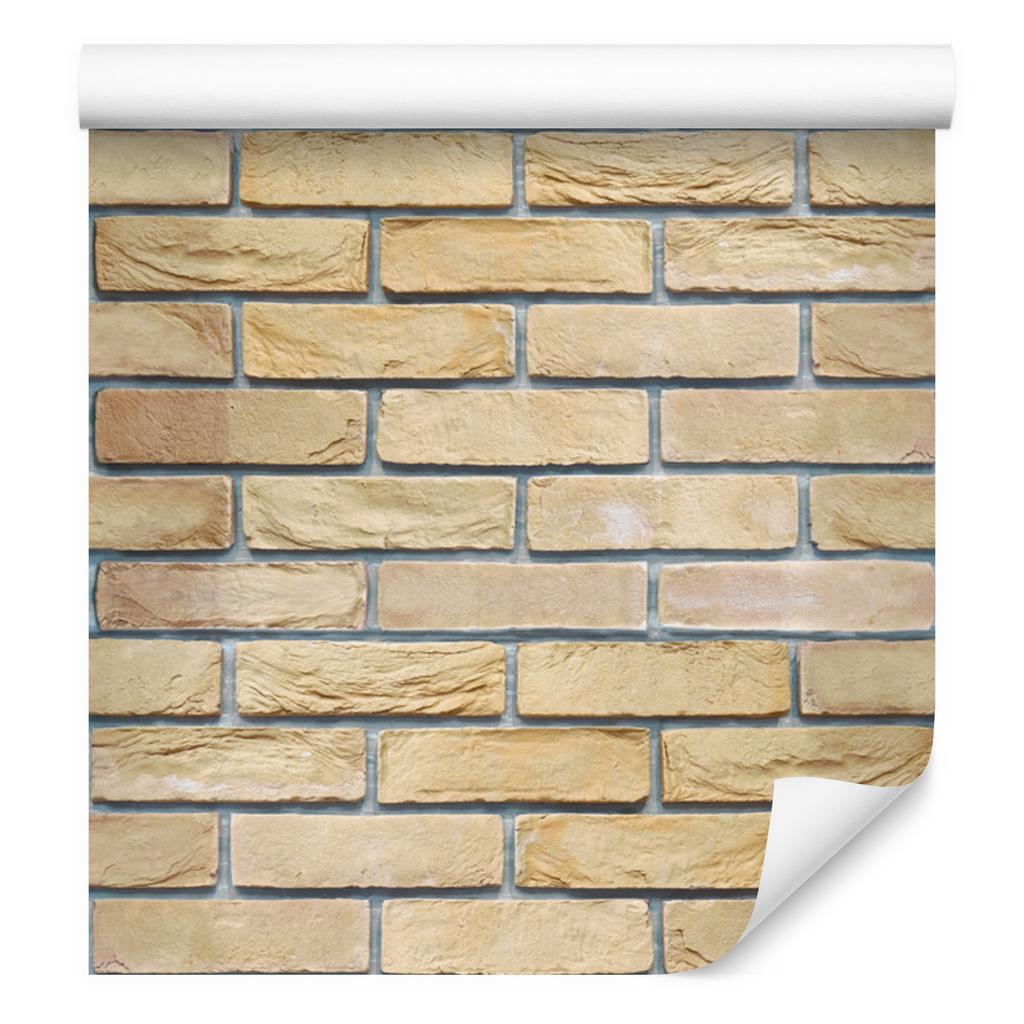 Bright, Fashionable Brick Wallpaper for the Living Room and Bedroom 50x1000