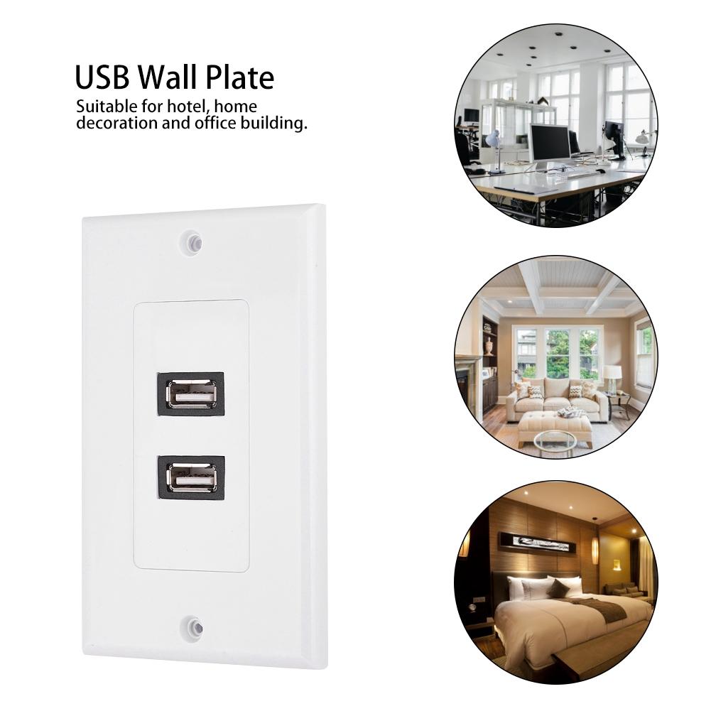 Dual Port USB2.0 Wall Plate Panel for Home Office Building Hotel Decoration