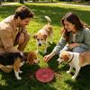 Slow Feeder Dog Bowls Non-Slip Anti-choking Silicone Feeding Station Puppy Food Bowl For Medium-Pet Licking Eating Standing