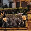 Weatherproof Solar Lights for Outside LED Crow Skull Light, Waterproof Halloween Pathway Gothic Horror Party Gifts Collectors on Skeleton Head