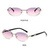 Cut-Edge Punk Shades Street Style Hip-Hop Sun Glasses Trendy Y2K Eyewear  for Women
