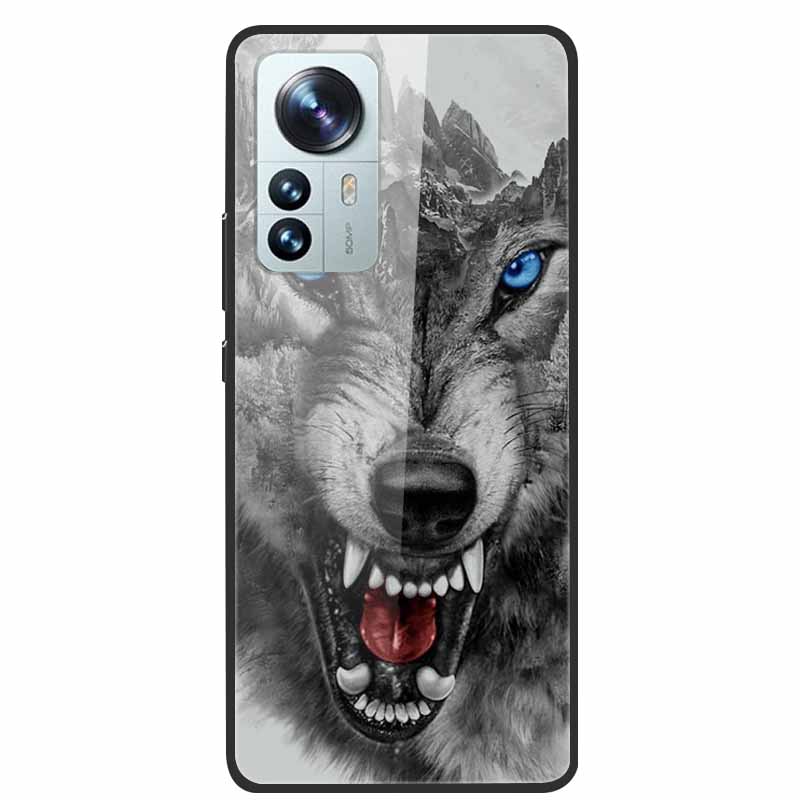 For Redmi Note 12S Case Tempered Glass Hard Back Cover for Xiaomi Redmi Note 12 Note12 Pro 4G 5G Phone Cases Note12S 12 S 12Pro