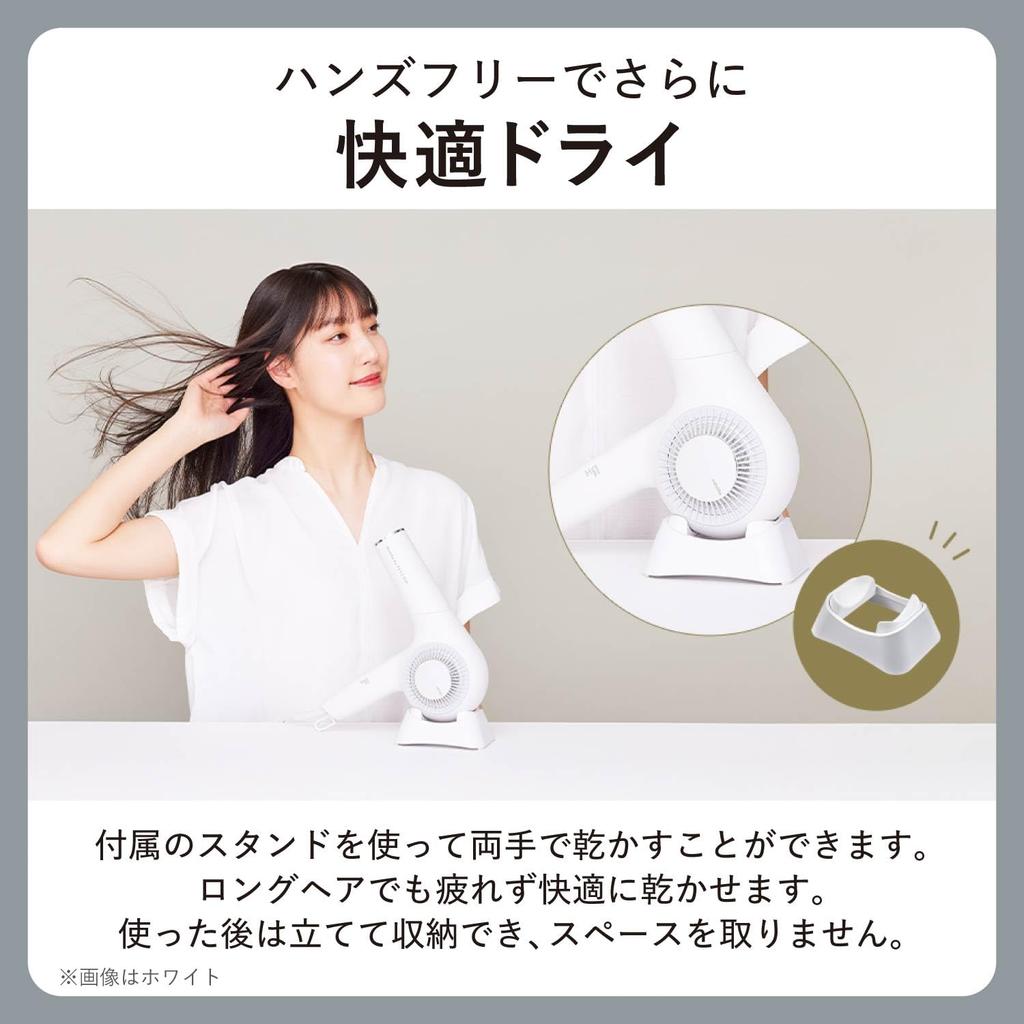 TESCOM Dryer Protect Ion Large Air Volume Large Wind Speed Quick Drying Cold Hot Air Nobby by TESCOM Cord Length Smoky Gray 1.7m NIB500B-H