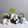 Handgemachter Mini Cartoon Keramik Sukkulenten-Pflanztopf Pflanzgefäß Geschenk Keramik-Pflanzgefäß-Behälter für Innengarten Schreibtischdekoration
