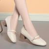 Square head single shoes women's 2026 autumn new shallow mouth versatile women's shoes thick heel soft sole leather shoes with skirt