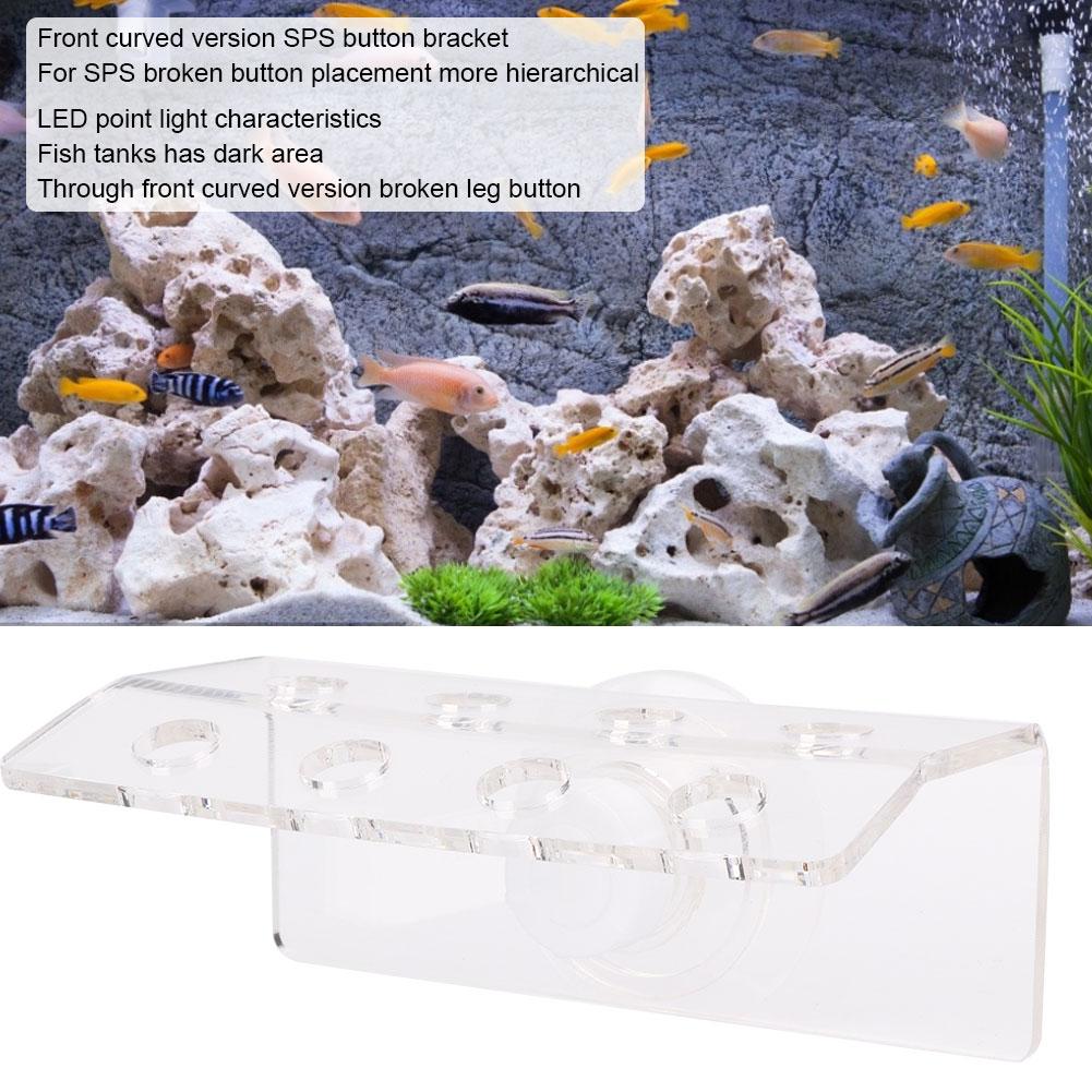 Acrylic Transparent Aquarium Front Loading Curved Coral SPS Button Snags Bracket Mount Fish Tanks