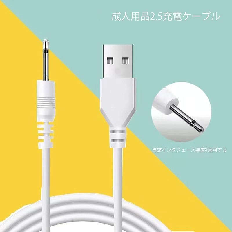 Manual massager charging cable Handheld massager charging cable USB to DC charging line beauty face wash DC 2.5 mono (exposure 16 mm) 1m
