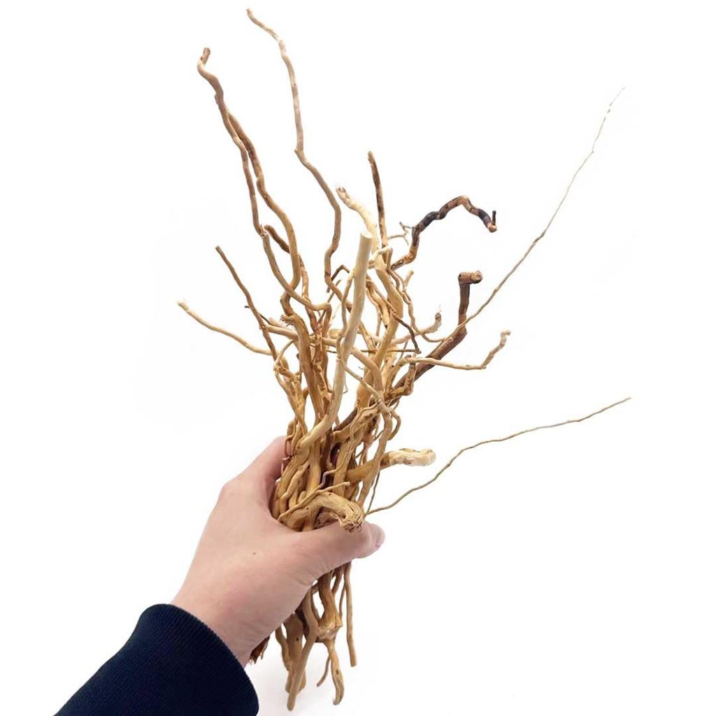 [AiO JAPAN] Aquarium Treibholz - Ver. 4 - Natürliche Wurzelholz-Wurzeln, 50g Bündel, Ultra-dünne Wurzeln, Anpassbare Form, 15-30cm