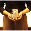Yoshitoku Riku no Nakama-tachi Konohazuku Plush Toy 180519 Soft and Cuddly Owl Figure