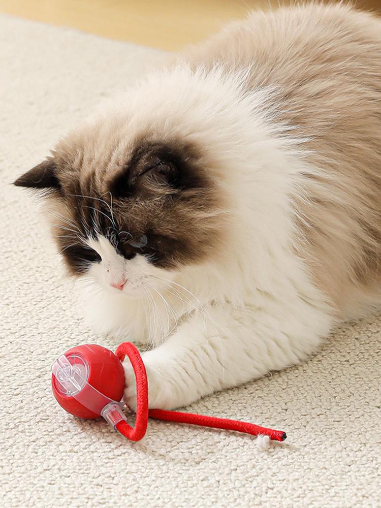 Interactive Cat Toy Ball 3 Modes Automatic Rolling Ball Rechargeable Self Rotating Ball Fast Rolling Ball for Bored Indoor Cats