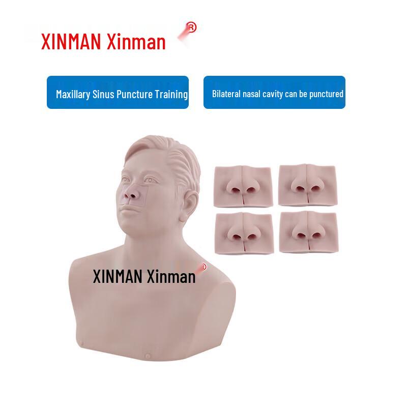 XINMAN Maxillary Sinus Puncture and Sinus Tract Management Training Model