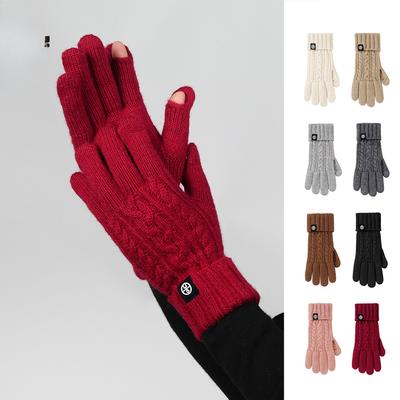 Knitted Gloves for Winter Outdoor Cycling Gloves Cold Proof Wool Blend European and American Thickened Long Touch Screen Warm Gloves