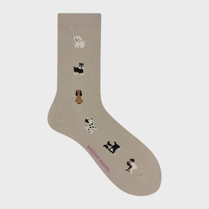 2026 SS_Puppy kindergarten socks
