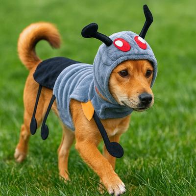 Giyim ve ayakkabı – Köpek Aksesuarları