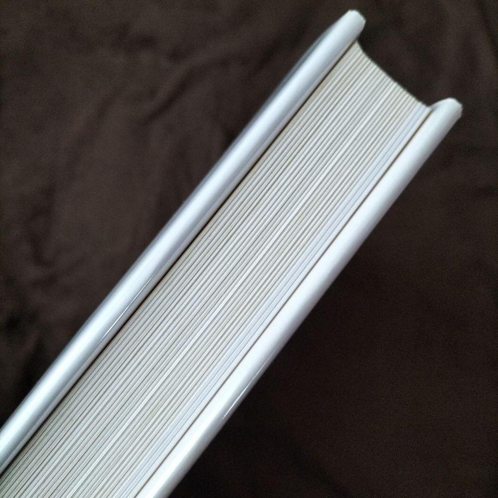 [USED] Norman Rockwell 332Magazine Covers Foreign Books