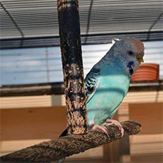 Holzständer Mini Verschleißfest Leichtgewicht Vogel Holzständer für Aras