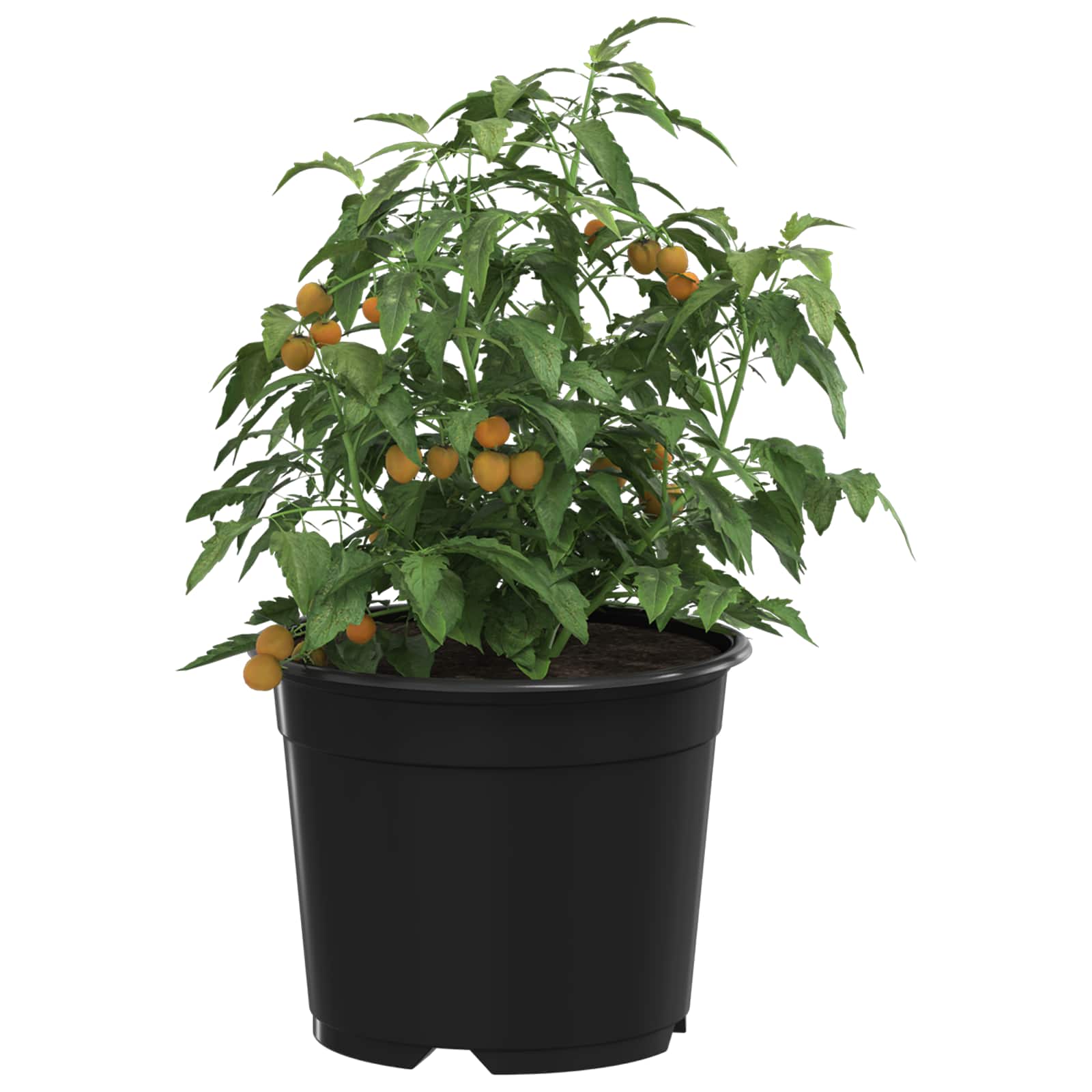 Runder Blumentopf 50 Stück Schwarz Ø 10 x 8 cm Kunststoff