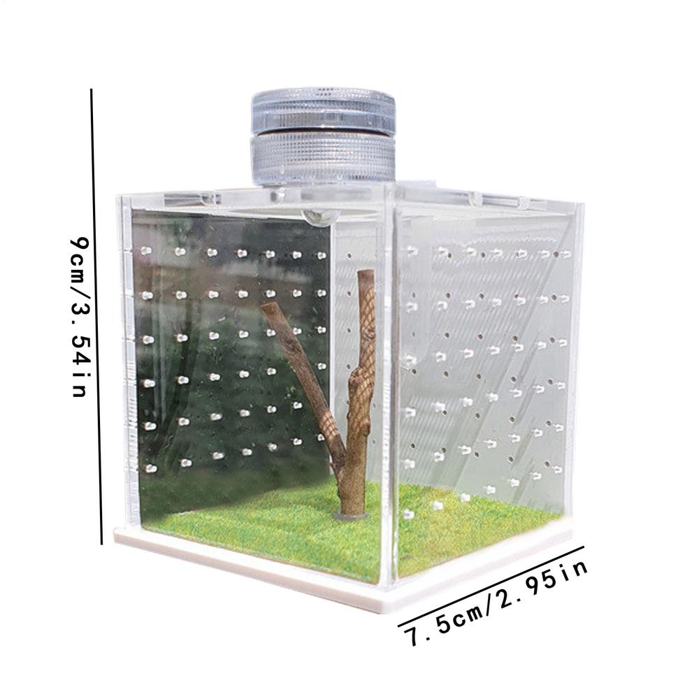 Jumping Spider Enclosure Clear Frog Tank Cage Feeding Breeding Box With Light Humidifier Reptile Enclosure Tank For Small Tree