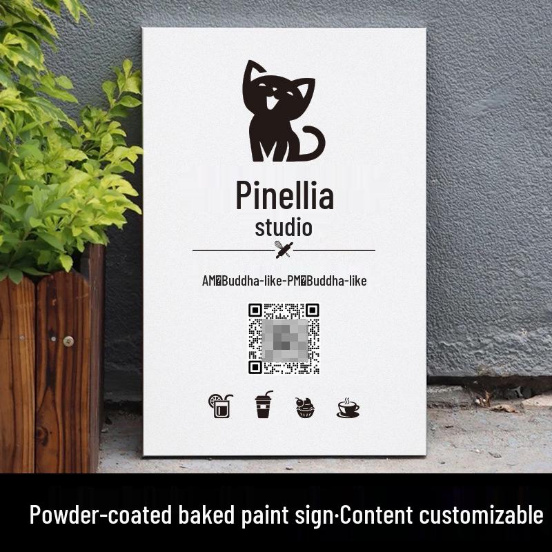 Custom Stainless Steel Studio Door and Entrance Sign 20x30