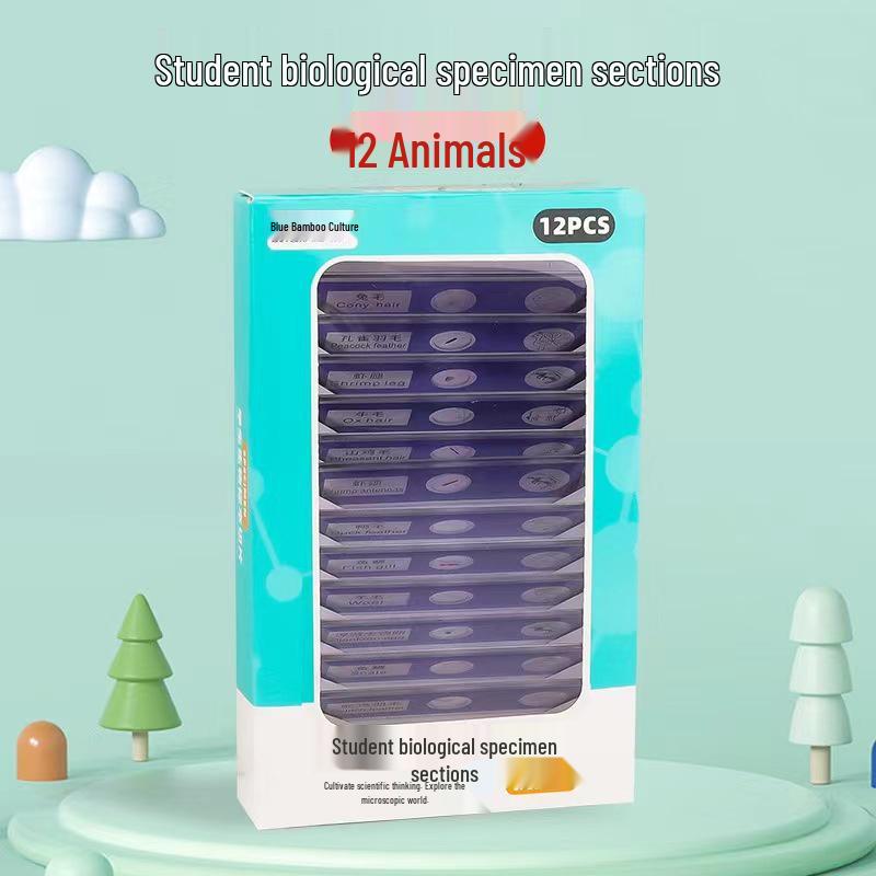 Tragbares Outdoor-Mikroskop-Set für junge Wissenschaftler: Lehrreiche praktische Experimente für Grund- und Sekundarschüler